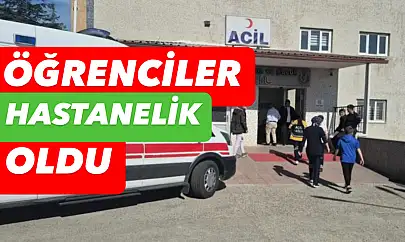 Yedikleri hastanelik etti