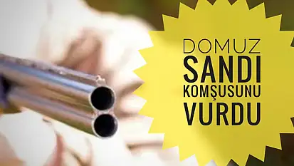 Domuz sandı komşusunu vurdu