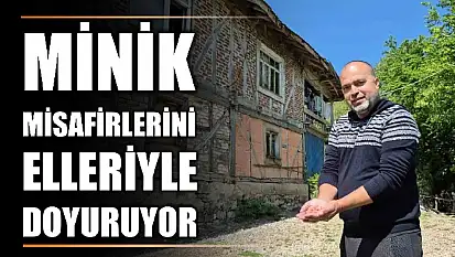 Eve yuva yaptılar