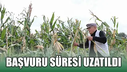 Silajlık mısır alacaklar dikkat