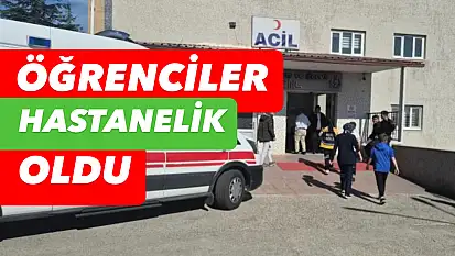 Yedikleri hastanelik etti