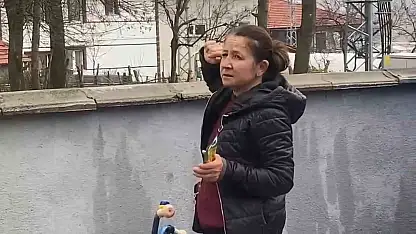 Ağaçta mahsur kalan kedi bir haftadır kurtarılmayı bekliyor