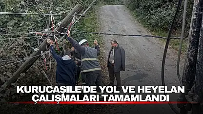 Kurucaşile'de ekipler sahadaydı: Yol, heyelan ve direk çalışmaları tamamlandı