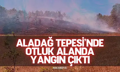 Bartın'da Aladağ Tepesi'nde Otluk Alanda Yangın Çıktı