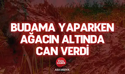Budama Yaparken Ağacın Altında Can Verdi