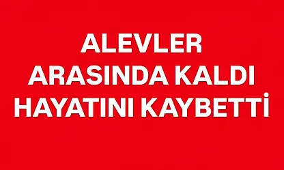 Otları yakmak istedi, hayatını kaybetti