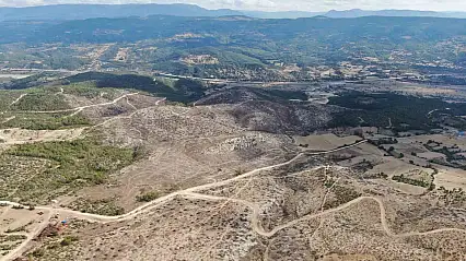 2 bin 736 hektar zarar görmüştü: Yanan orman yeniden yeşerecek