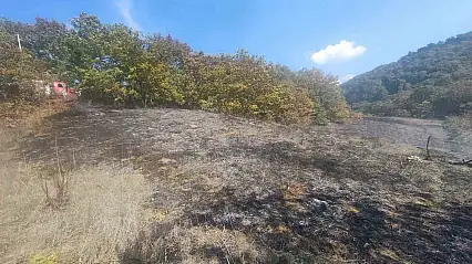 Bolu'da ot yangını büyümeden söndürüldü