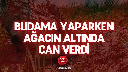 Budama Yaparken Ağacın Altında Can Verdi