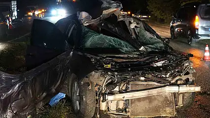 Büyükbaş hayvana çarpan otomobilin sürücüsü hayatını kaybetti