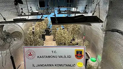 Çiftlik evlerini kenevir serasına çeviren sanıkların yargılanmasına devam edildi