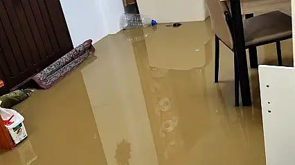 Düzce'de aşırı yağışlar etkili oldu