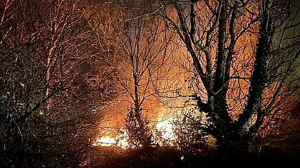 Filyos'ta ağaçlık alanda çıkan yangın korkuttu