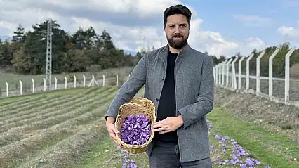 İtalya'da analiz ettirdiği safranıyla yurt dışından da talep görüyor