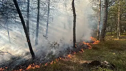 Örtü yangını büyümeden söndürüldü
