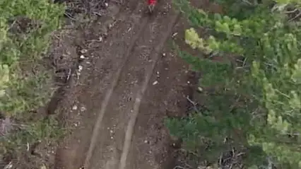 Karabük'te yasa dışı avcılık yapanlar dron ile tespit edildi