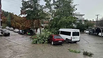 Kastamonu'da fırtına çatıları uçurdu, ağaçları devirdi