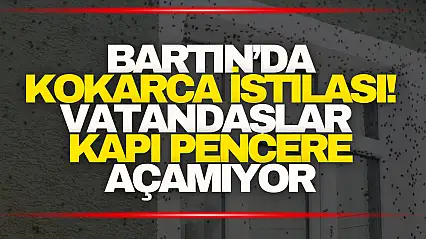 Kokarca İstilası! Vatandaşlar Kapı Pencere Açamıyor