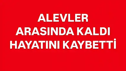 Otları yakmak istedi, hayatını kaybetti