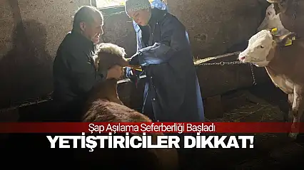 Şap Aşısı İçin Tarihler Belli Oldu