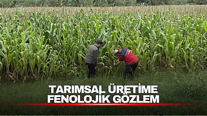 Tarımsal Üretim Fenolojik Gözlemlerle Takip Ediliyor