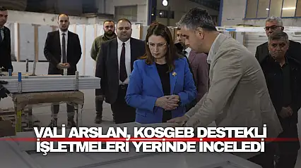 Vali Arslan, KOSGEB Destekli İşletmeleri Yerinde İnceledi