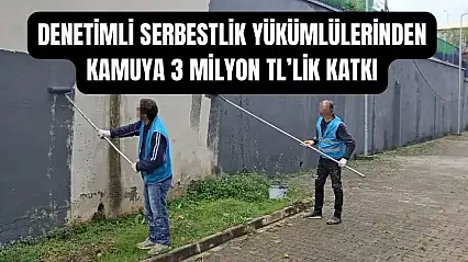 Yükümlüler boyadı, kamu kazandı