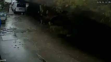 Zonguldak'ta istinat duvarının çöktüğü anlar kamerada: Köpekler telef oldu, 2 araç enkaz altında kaldı