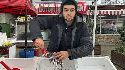 Tezgahta hamsinin yerini istavrit ve mezgit alacak