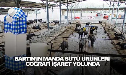 Manda Sütü Ürünleri Coğrafi İşaret Yolunda