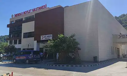 Üzüm yaprağı toplarken düşen kadın hayatını kaybetti