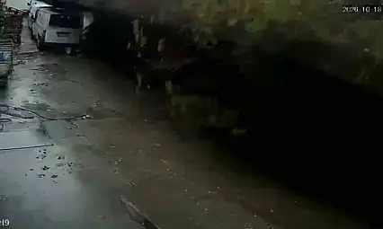 Zonguldak'ta istinat duvarının çöktüğü anlar kamerada: Köpekler telef oldu, 2 araç enkaz altında kaldı