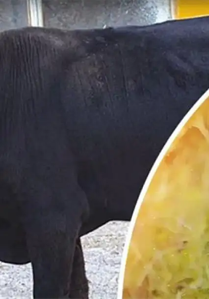 Halk Elinde Islah Projeleri'ne 2,7 milyar lira destek