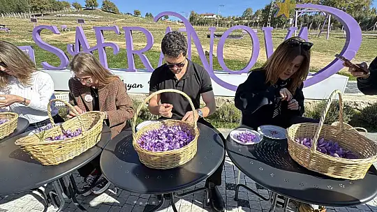 SafranbolU'da etkinlik