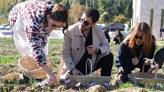 SafranbolU'da etkinlik