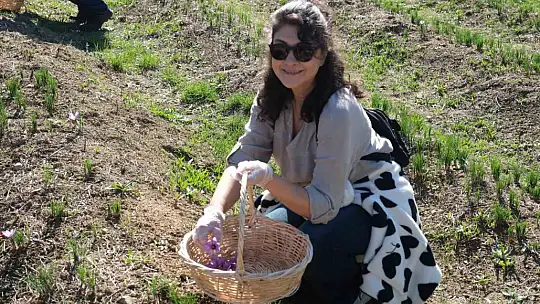 SafranbolU'da etkinlik