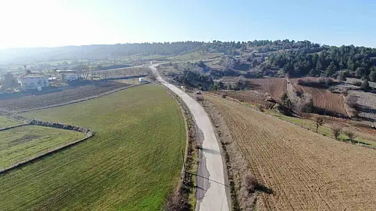 Yolu ulaşıma kesti