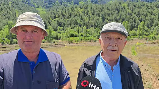 Beyaz Altın çeltik ekiminde sona yaklaşıldı