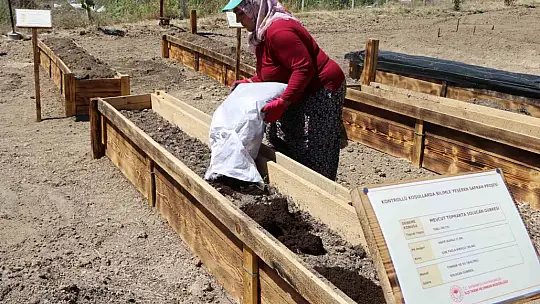'Dünyanın en pahalı baharatı' köstebeklerden korunacak