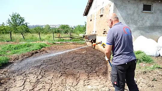 1 bardak su, 100 sivrisineğe neden olabilir