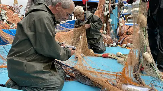 Amasralı balıkçıların yüzü palamutla güldü