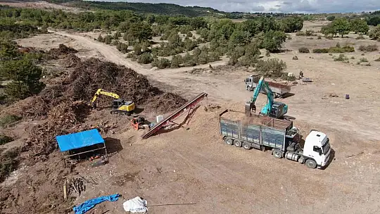2 bin 736 hektar zarar görmüştü: Yanan orman yeniden yeşerecek
