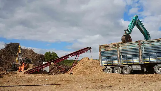 2 bin 736 hektar zarar görmüştü: Yanan orman yeniden yeşerecek