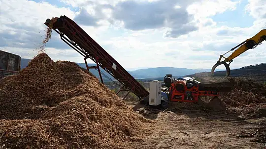 2 bin 736 hektar zarar görmüştü: Yanan orman yeniden yeşerecek