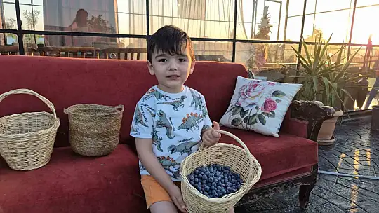 22 yaşında kendi bahçesini kurdu, şimdi 15 ton hasat bekliyor