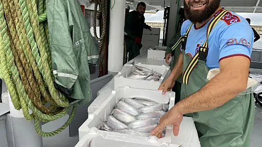 Binlerce kasa palamutla döndü