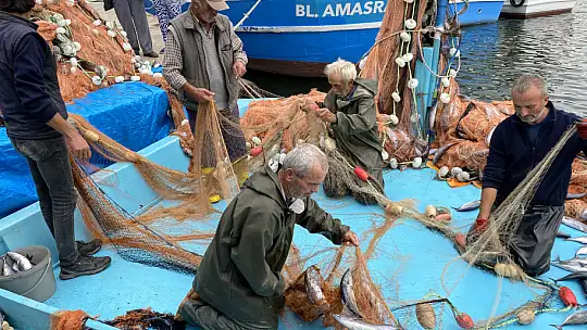 Amasralı balıkçıların yüzü palamutla güldü