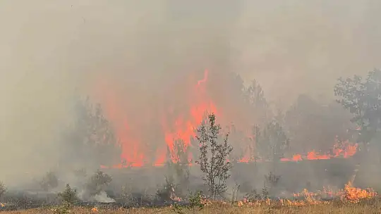 30 kilometre çapında yayılan yangında bin 306 kişi tahliye edildi