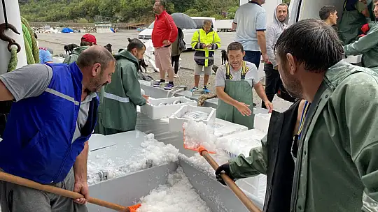 Binlerce kasa palamutla döndü