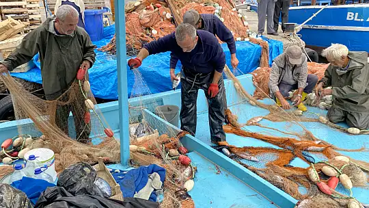 Amasralı balıkçıların yüzü palamutla güldü